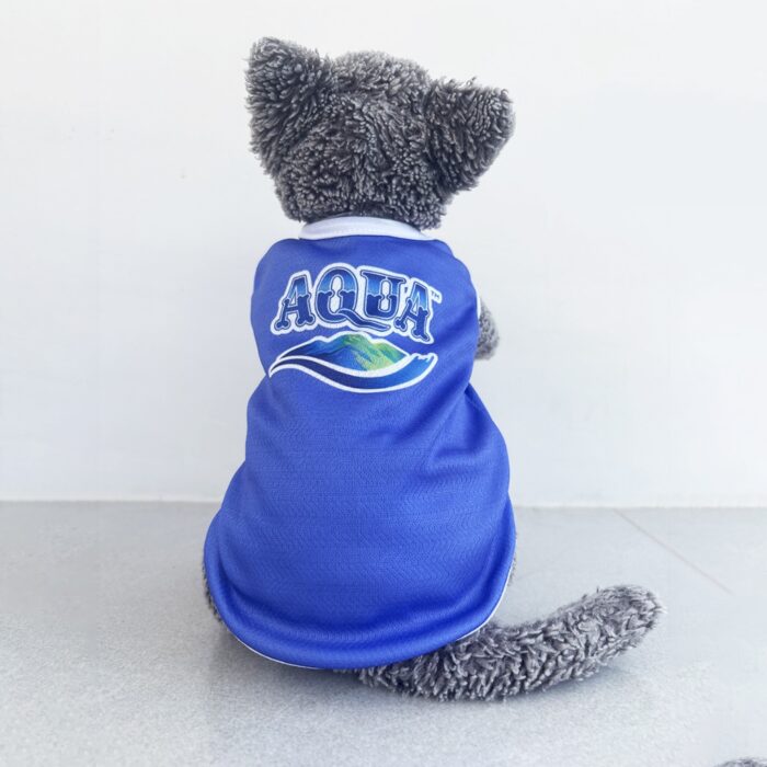 Aqua - 1 Aqua - 1