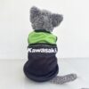 Kawasaki - 1