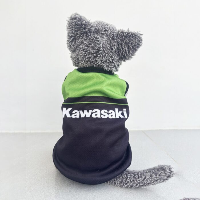 Kawasaki - 1