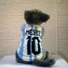 Argentina - 1