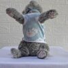 Kucing-Biru - 1