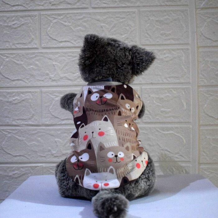 Kucing-Coklat - 1