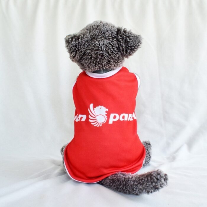 Lion-Parcel - 1