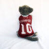 Liverpool - 1
