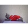 Man-United - 1