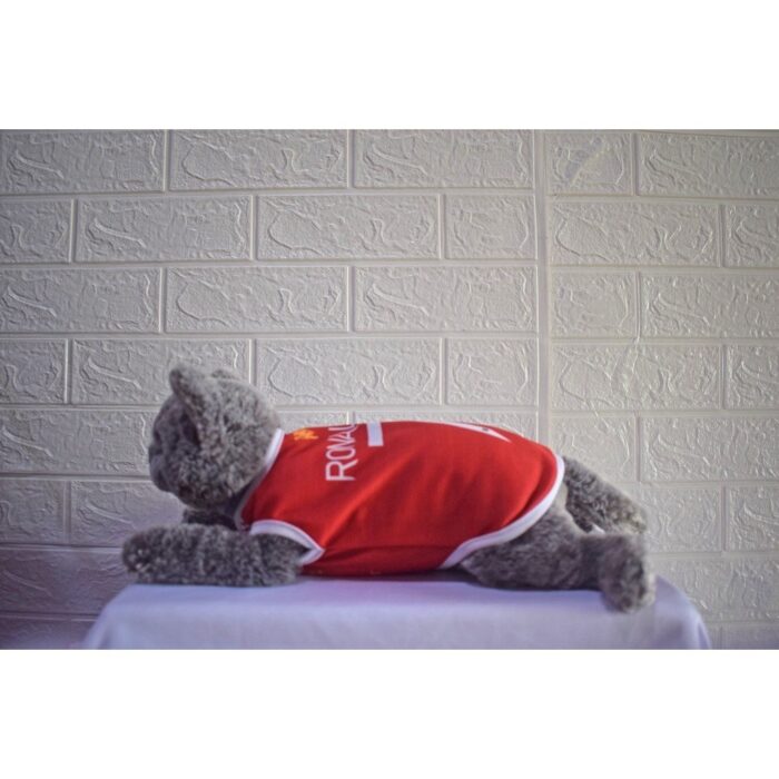 Man-United - 1