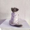 Motif-Neko - 1