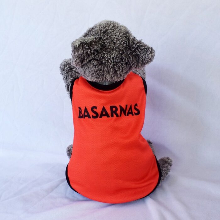 Basarnas - 1 Basarnas - 1