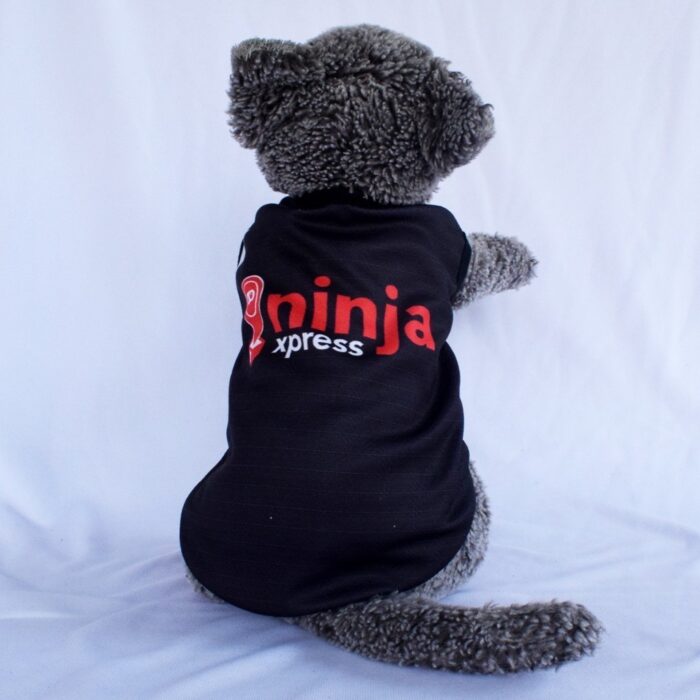 Ninja-Express - 1 Ninja-Express - 1