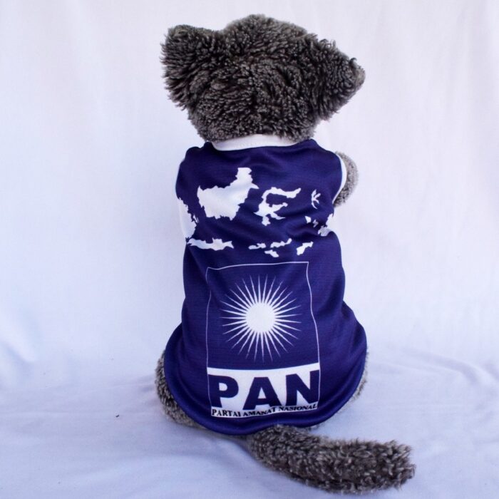 PAN - 1 PAN - 1