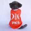 PKS - 1 PKS - 1