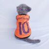 Belanda - 1