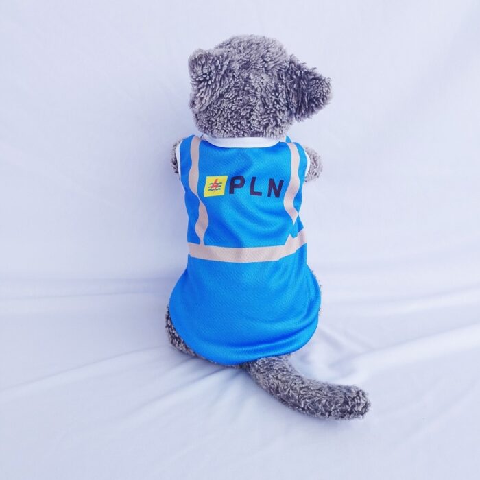 PLN-Biru - 1