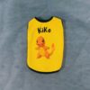 Pokemon-Charmander - 1