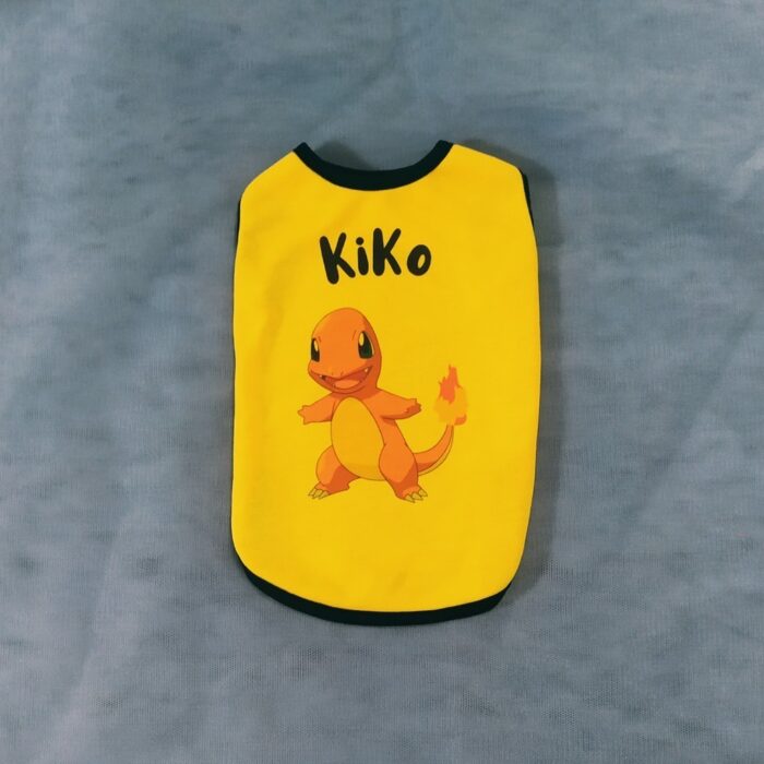 Pokemon-Charmander - 1