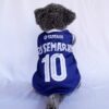 Psis-Semarang - 1