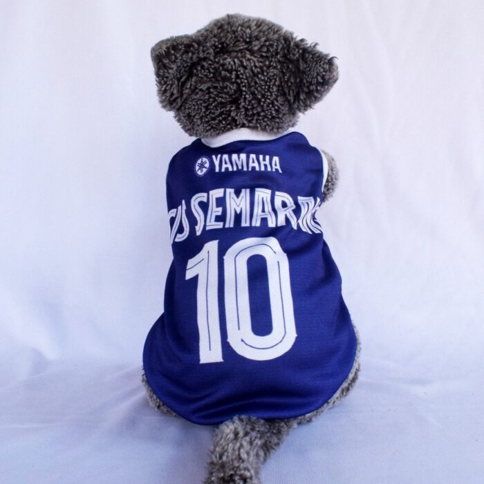 Psis-Semarang - 1