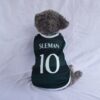 PSS-SLEMAN - 1