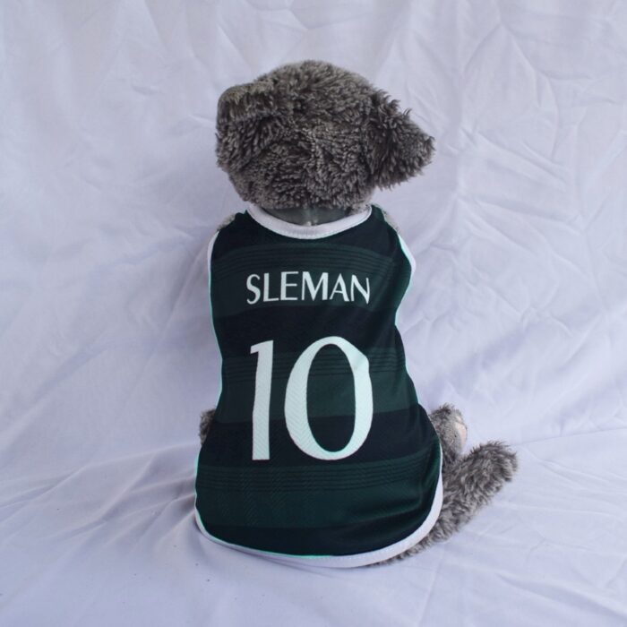 PSS-SLEMAN - 1