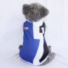 Ranger-Biru - 1