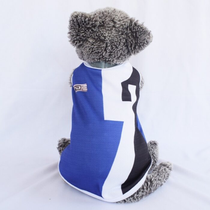 Ranger-Biru - 1