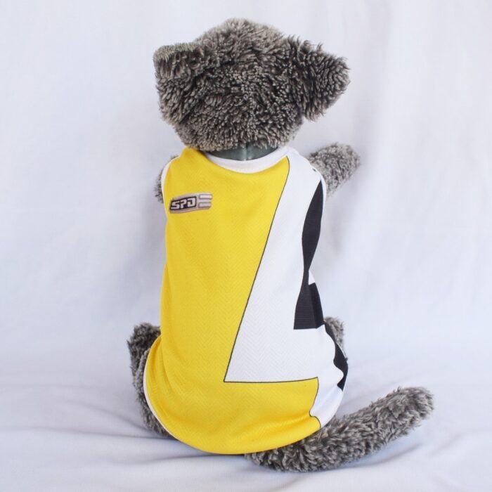 Ranger-Kuning - 1