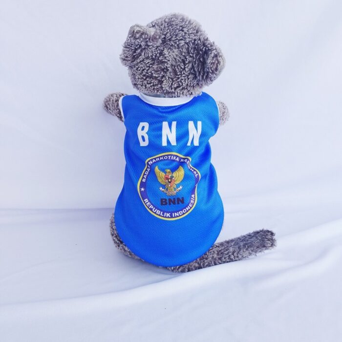 BNN - 1