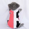 Ranger-Pink - 1