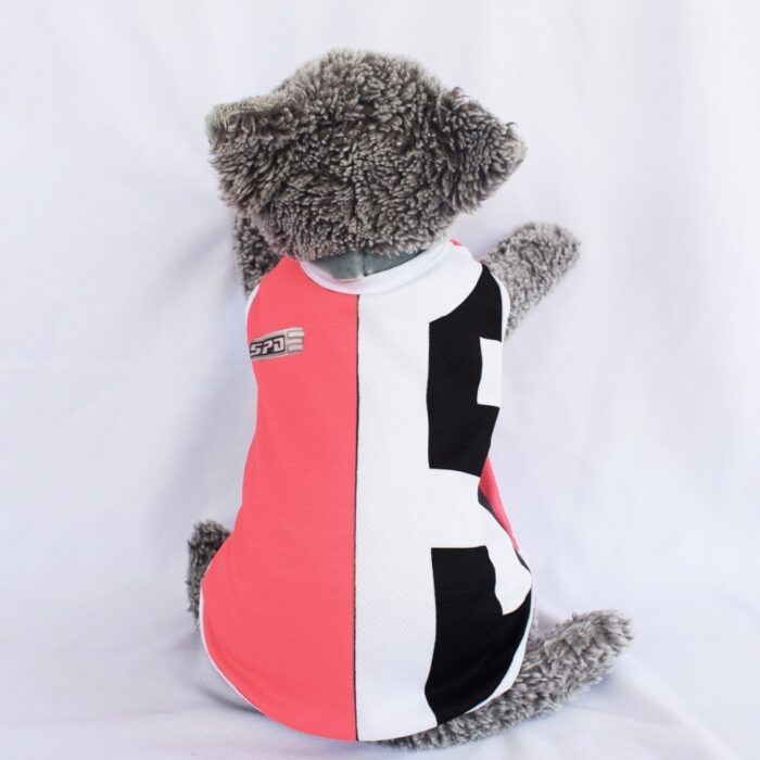 Ranger-Pink - 1