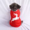 Rusa-Merah - 1