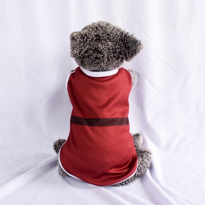 Santa-Claus - 1