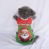 Santa-Hijau - 1