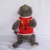 Santa-Rusa-Merah - 1