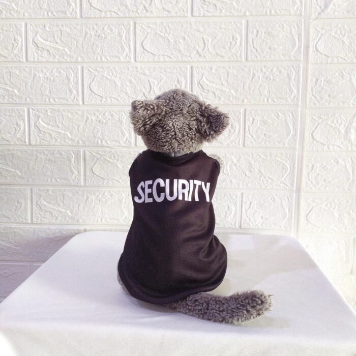 Security - 1 Security - 1