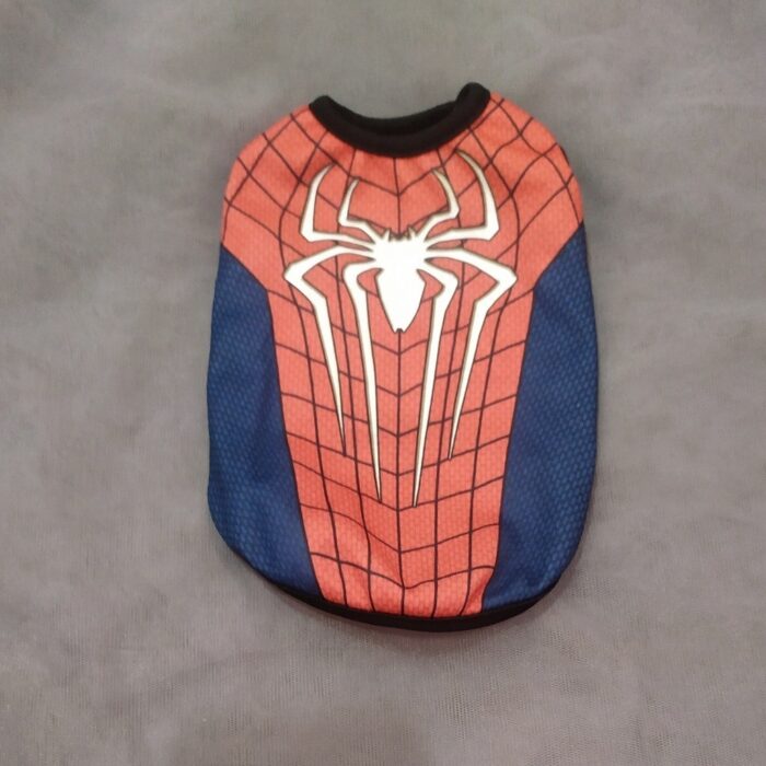 Spiderman - 1