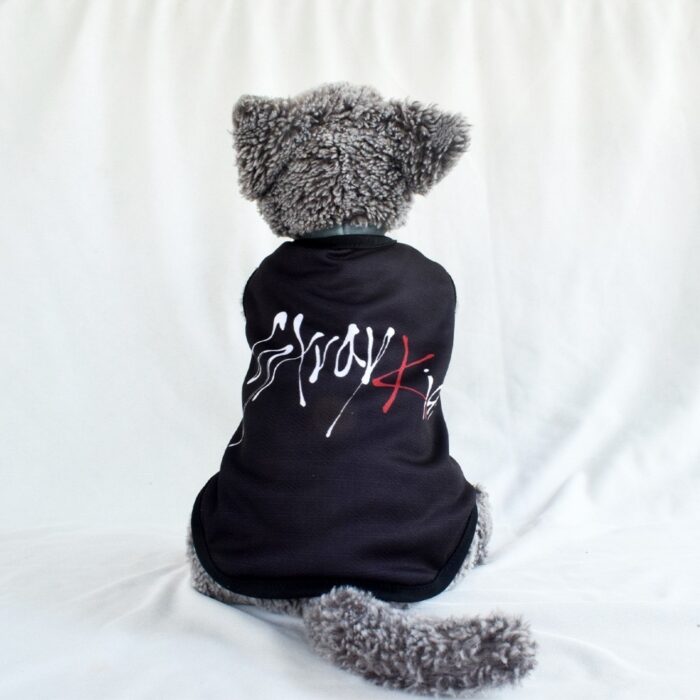 StrayKidz - 1
