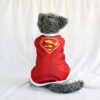 Superman - 1 Superman - 1
