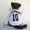 Tottenham - 1