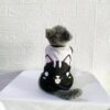 Wajah-Kucing - 1