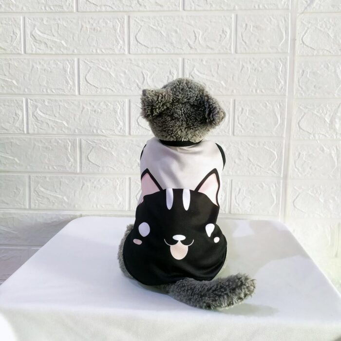 Wajah-Kucing - 1