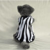 Zebra - 1 Zebra - 1