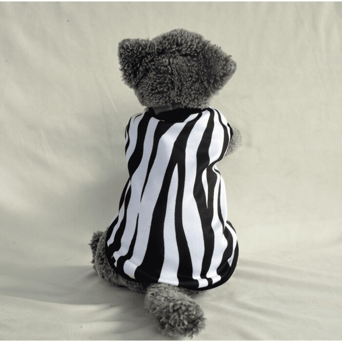 Zebra - 1 Zebra - 1