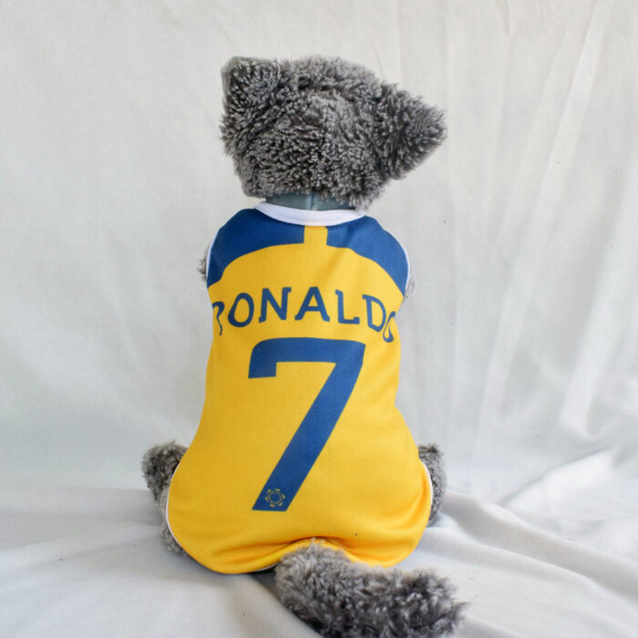 Al-Nassr - 1