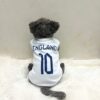 England - 1