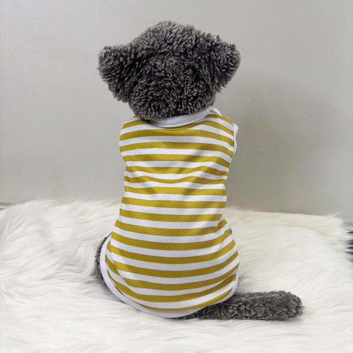 Garis-Kuning - 1