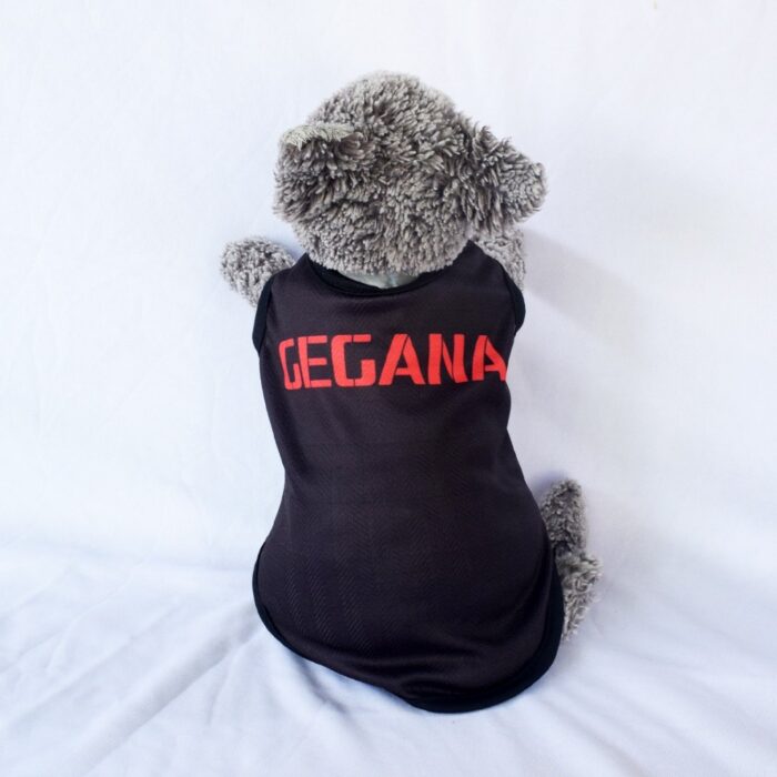 Gegana - 1