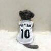 Germany - 1