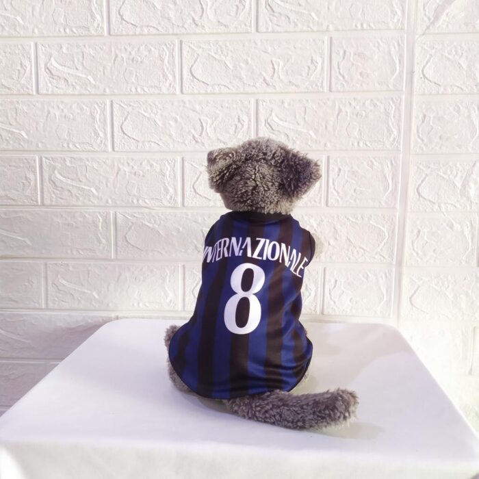Inter-Milan - 1
