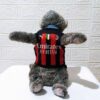 Ac-Milan - 2 Ac-Milan - 2