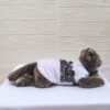 Koko-Batik-Putih - 2